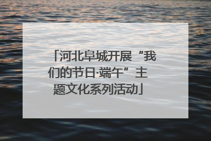 河北阜城开展“我们的节日·端午”主题文化系列活动