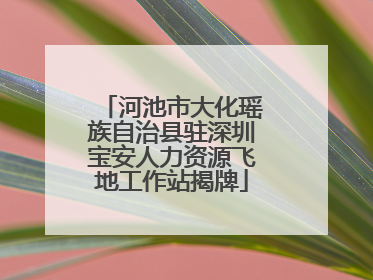河池市大化瑶族自治县驻深圳宝安人力资源飞地工作站揭牌