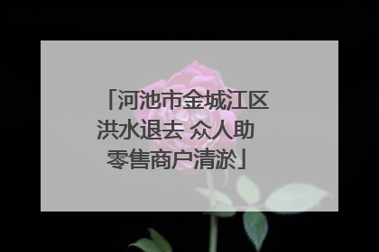 河池市金城江区洪水退去 众人助零售商户清淤