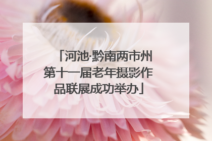 河池·黔南两市州第十一届老年摄影作品联展成功举办