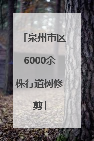 泉州市区6000余株行道树修剪