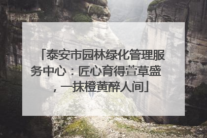 泰安市园林绿化管理服务中心：匠心育得萱草盛，一抹橙黄醉人间