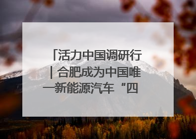 活力中国调研行｜合肥成为中国唯一新能源汽车“四试点”城市