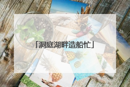 洞庭湖畔造船忙
