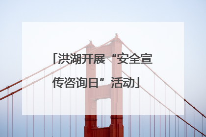 洪湖开展“安全宣传咨询日”活动