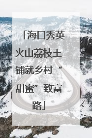 海口秀英火山荔枝王铺就乡村“甜蜜”致富路