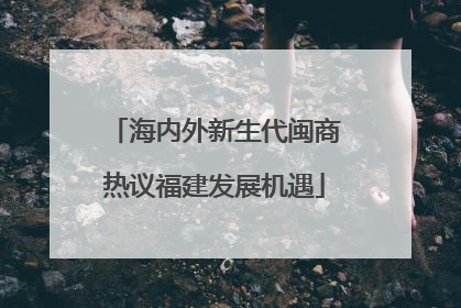 海内外新生代闽商热议福建发展机遇