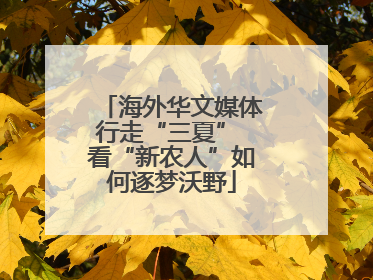 海外华文媒体行走“三夏” 看“新农人”如何逐梦沃野