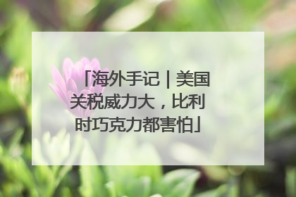海外手记｜美国关税威力大，比利时巧克力都害怕