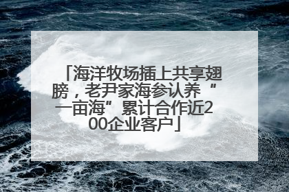 海洋牧场插上共享翅膀，老尹家海参认养“一亩海”累计合作近200企业客户