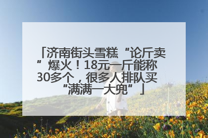 济南街头雪糕“论斤卖”爆火！18元一斤能称30多个，很多人排队买“满满一大兜”