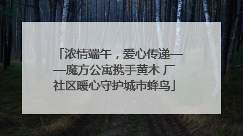 浓情端午，爱心传递——魔方公寓携手黄木 厂社区暖心守护城市蜂鸟