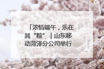 浓情端午，乐在其“粽”｜山东移动菏泽分公司举行端午节主题活动