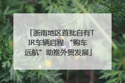 浙南地区首批自有TIR车辆启程 “购车远航”助推外贸发展
