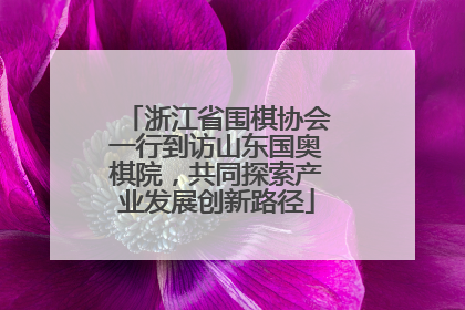 浙江省围棋协会一行到访山东国奥棋院，共同探索产业发展创新路径