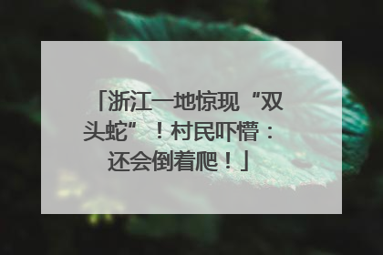 浙江一地惊现“双头蛇”！村民吓懵：还会倒着爬！