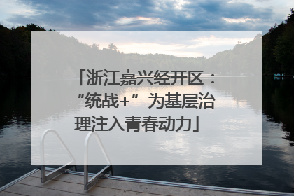 浙江嘉兴经开区：“统战+”为基层治理注入青春动力