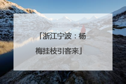 浙江宁波：杨梅挂枝引客来