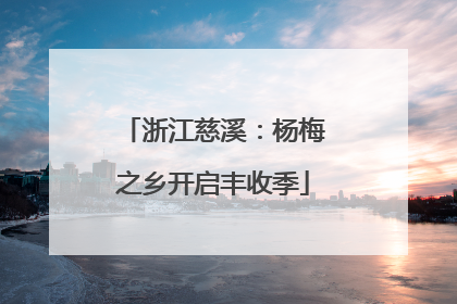 浙江慈溪：杨梅之乡开启丰收季