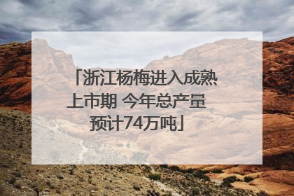 浙江杨梅进入成熟上市期 今年总产量预计74万吨