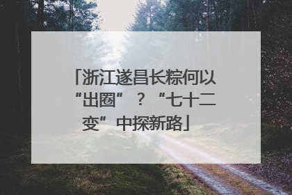 浙江遂昌长粽何以“出圈”？“七十二变”中探新路