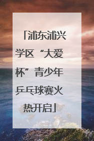 浦东浦兴学区“大爱杯”青少年乒乓球赛火热开启