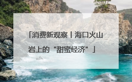 消费新观察丨海口火山岩上的“甜蜜经济”