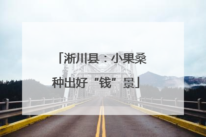 淅川县：小果桑种出好“钱”景