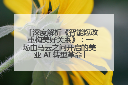 深度解析《智能爆改 重构美好关系》：一场由马云之问开启的美业 AI 转型革命