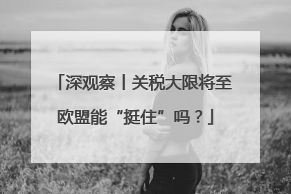 深观察丨关税大限将至欧盟能“挺住”吗？