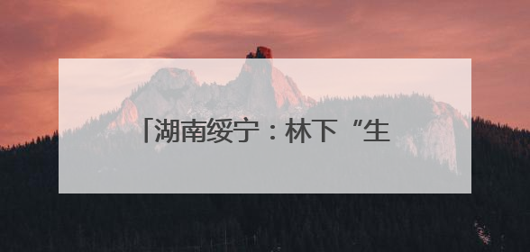 湖南绥宁：林下“生金”实现绿富双赢