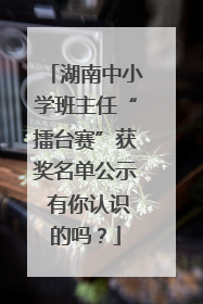 湖南中小学班主任“擂台赛”获奖名单公示 有你认识的吗？
