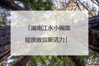 湖南江永小碗莲绽放致富新活力