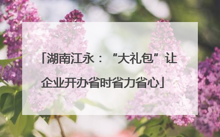 湖南江永：“大礼包”让企业开办省时省力省心