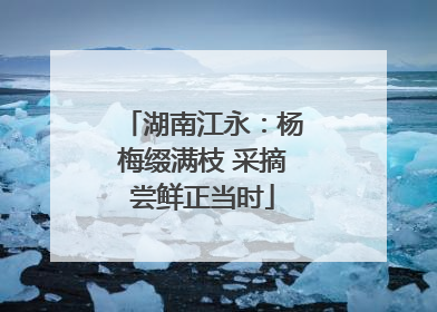 湖南江永：杨梅缀满枝 采摘尝鲜正当时