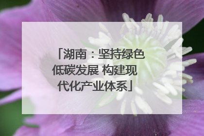 湖南：坚持绿色低碳发展 构建现代化产业体系