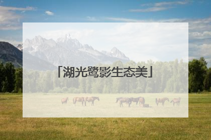 湖光鹭影生态美