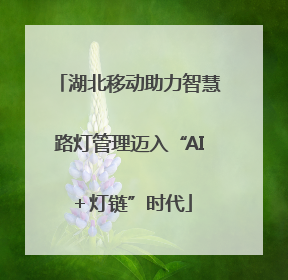 湖北移动助力智慧路灯管理迈入“AI＋灯链”时代