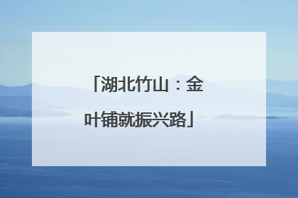 湖北竹山：金叶铺就振兴路