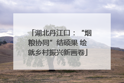 湖北丹江口：“烟粮协同”结硕果 绘就乡村振兴新画卷
