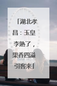 湖北孝昌：玉皇李熟了，果香四溢引客来
