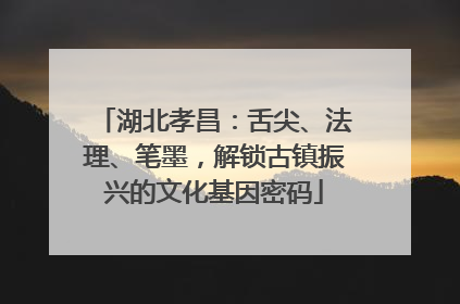 湖北孝昌：舌尖、法理、笔墨，解锁古镇振兴的文化基因密码