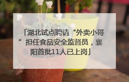 湖北试点聘请“外卖小哥”担任食品安全监督员，襄阳首批11人已上岗