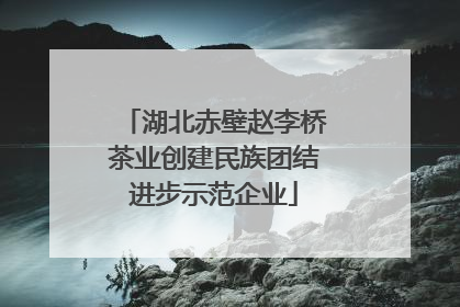 湖北赤壁赵李桥茶业创建民族团结进步示范企业
