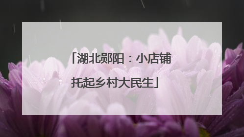 湖北郧阳：小店铺托起乡村大民生