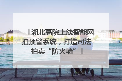 湖北高院上线智能网拍预警系统，打造司法拍卖“防火墙”