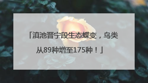 滇池晋宁段生态蝶变，鸟类从89种增至175种！