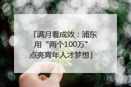 满月看成效：浦东用“两个100万”点亮青年人才梦想