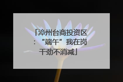 漳州台商投资区：“端午”我在岗 干劲不消减