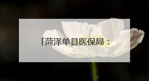 菏泽单县医保局：政策惠民进万家，医保护航暖民心